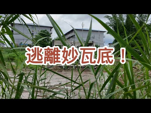 【小野聊天室】逃離妙瓦底！ | 緬甸 | 泰國 | 緬北 | 電信詐騙 | KK園區 | 亞太城 | 割腰子 | 人口販賣 | 王星 | 湄索 | 妙瓦底 | 狗仔隊 | 前線調查