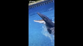 JURASSIC WORLD MOSASAURUS POOL ATTACK! *SCARY* 😰