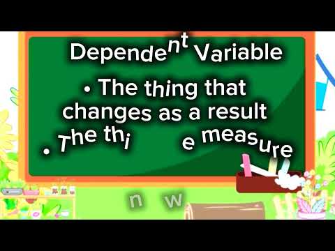 Fair Testing | Experiment | Lab Testing 