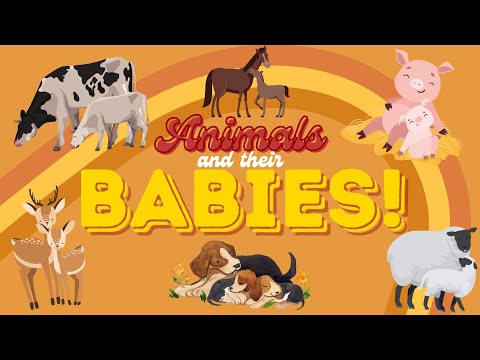 ANIMALS AND THEIR BABIES for Kids | Spelling Video for Children