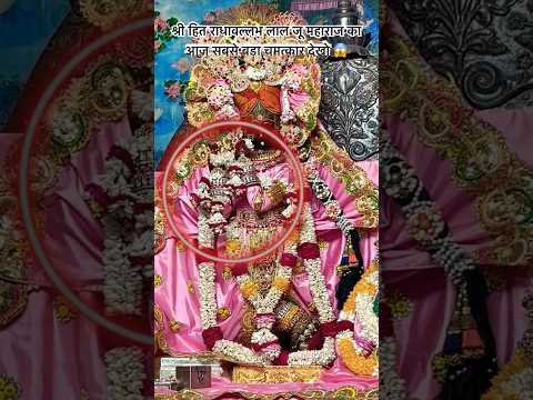 श्री जी का सबसे बड़ा आशीर्वाद प्राप्त हुआ 😱 #trending #radhavallabh #vrindavan #bhakti #shorts