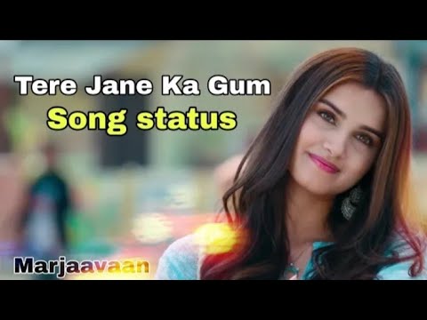 Tere jaane ka gam song | Mar jaavaan