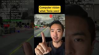 Computer vision what Tesla sees!