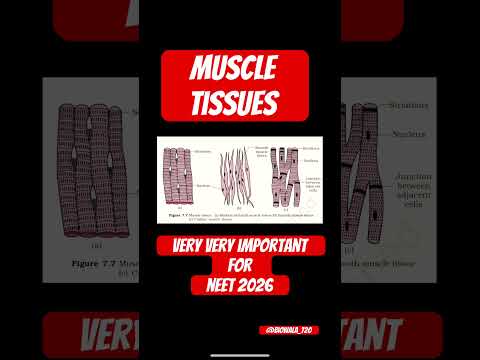 Muscle Tissues Very Important For Neet 2026 #neet #science #biology #ncert #shorts #trending#viral