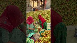 महाशिवरात्रि के फल😍 #mahashivratri #fruits #desi #food #shortvideo #youtubeshorts #shorts