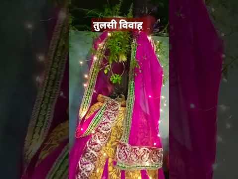 तुलसी विवाह 🙏🌹