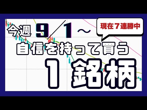 今週（9/1〜）専業が自信を持って買う1銘柄