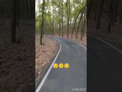 #tredingreel #shayari #reels #radhakrishna #dehradunvloger #comedyvideo #radheradhe #trending #react