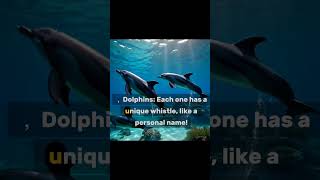 amazing facts about animals #facts #intrestingfacts #subscribe #viralvideo #intrestingshorts #animal