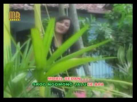 TARLING"TIBA TANGI
