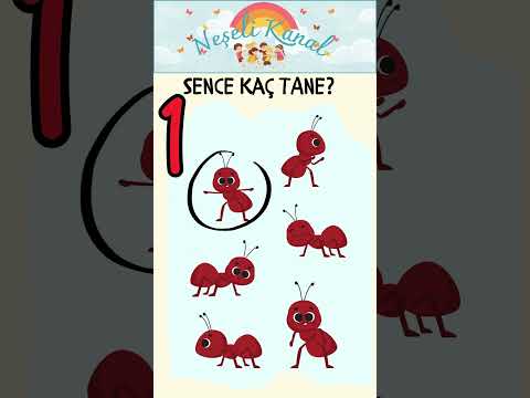 Tahmin Et! Sence Kaç Tane