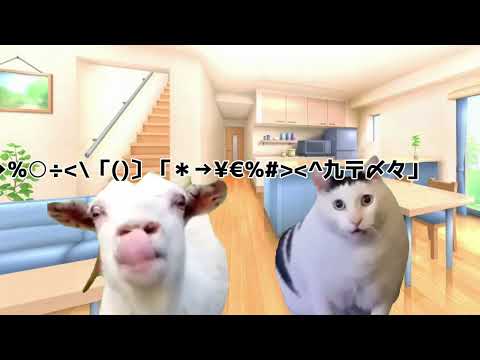 猫ミーム