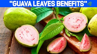 "10 Amazing Health Benefits of GUAVA LEAVES You're Missing Out"