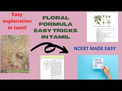 Floral formula tricks in tamil|NEET tricks tamil|biology tricks|morphology of flowering plants tamil