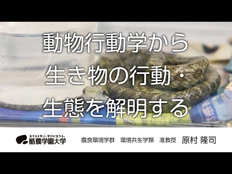 環境共生学類　原村　隆司　｜　酪農学園大学　研究室・ユニット紹介