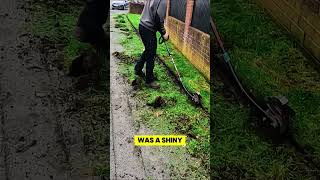 Corrupt Cop Tries to Stop FREE Lawn Care Huge Mistake! 🚔 #shorts #lawncare #mowing