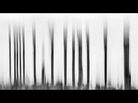 Michael (MB) Live Stream