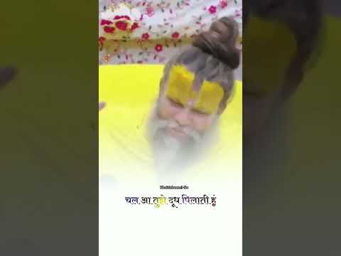 #trendingvideo #radheradhe #kanha #bankebihari #premanadji #shortsfeed