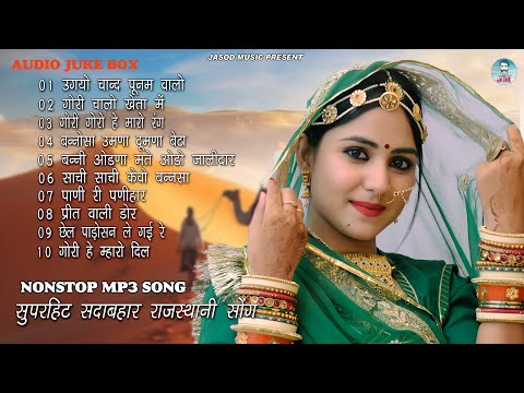 2024 राजस्थानी NONSTOP MP3 SONG || राजस्थानी MP3 सुपरहिट सोंग || SUPAR DUPAR SADABAHAR DJ SONG