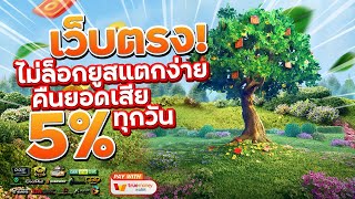 เว็บสล็อตเว็บตรง สมัครเว็บตรง 2023 : [ ต้นไม้ ] เกมใหม่pg 🎉