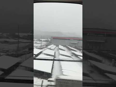 米原あたり、すごい雪です。