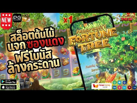 สล็อต สล็อตเว็บตรง สล็อตpg สล็อตแตกง่าย เว็บตรงไม่ผ่านเอเย่นต์ เว็บพนันออนไลน์ ที่ดีที่สุด สมัครฟรี