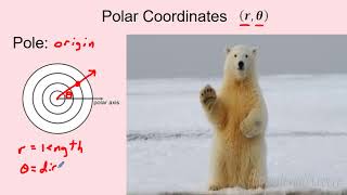 AP Precalculus – 3.13 Trigonometric and Polar Coordinates