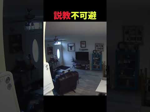 やっべ...