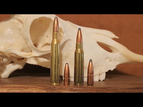 270 vs 308: Which One Should You Hunt With?