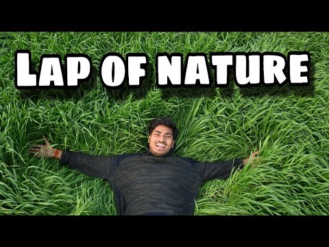 Bihar me sone : sone ki kheti | village vlog