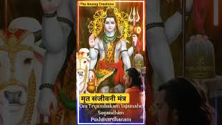 मृत संजीवनी मंत्र जाप 💞 #shiv #mantra #chant