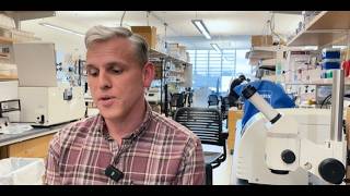 StartupHub Opportunity: High throughput aging drug discovery using C elegans