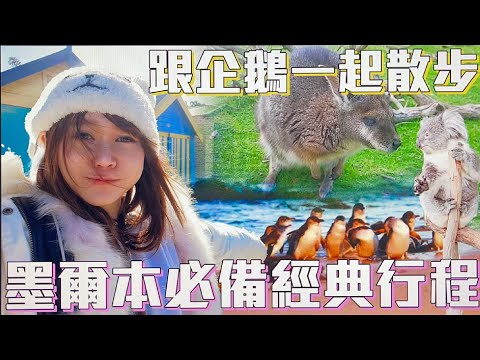 【澳洲墨爾本VLOG】墨爾本必備行程，企鵝島、彩虹小屋、野生動物園一日遊｜Yui ♡