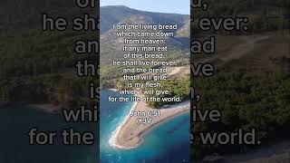 Daily Scripture Verse #devotational #shorts #bible