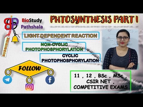 LIGHT DEPENDENT REACTION  || Plant Physiology || Life Sciences || BioStudy Pathshala