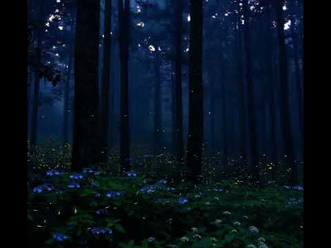 [불러보았다] 잊혀지지 못할 언어-이온 커버[cover]
