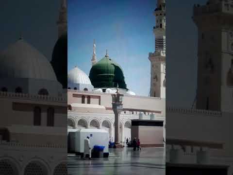 Jashn e Amad e Rasool - Farhan Ali Qadri #islam #freepalestine #shorts #youtubeshorts #shortvideo