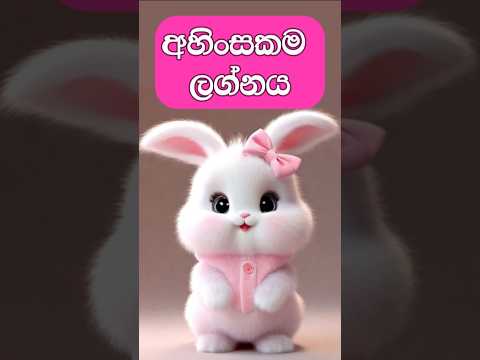 අහිංසකම ලග්නය | බලන්න මේක ඇත්තද කියලා ☺️ #lagna #shorts #lagnapalapala