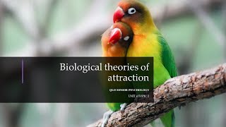 Biological Theories of Attraction