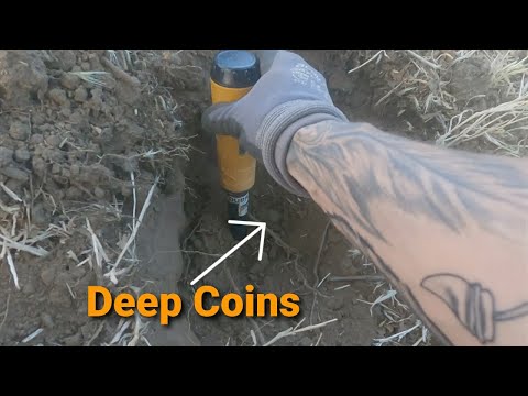Equinox 800 Super Deep Coins #6