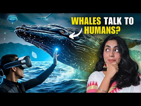 World’s First "Chat" Between Humans and Whales | The Good News Show Ep. 95