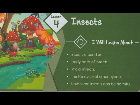 ICSE/GRADE 3/Chapter 4/Insects/text Book Reading Final