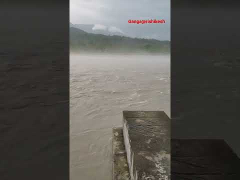 #ganga #naturelovers  #trivenighat #rishikesh  #uttrakhand #shorts