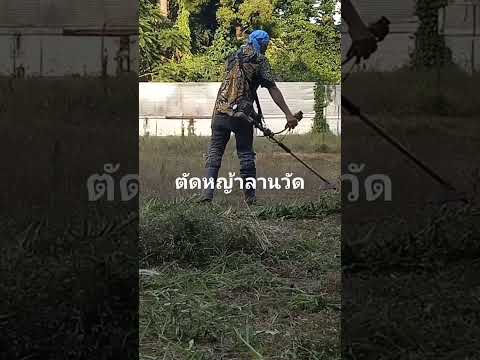 5 มิถุนายน ค.ศ. 2025