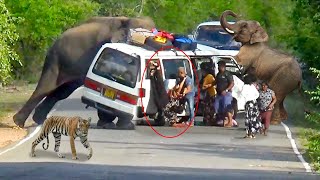 Series Of World Top 10 Shocking Elephant Attack In 2024