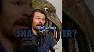 The Snallygaster. Ancient American Demon? #ninjasarebutterflies #podcast #history #cryptid