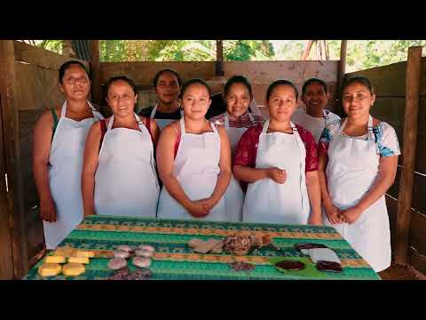 PROYECTO BOSQUES
