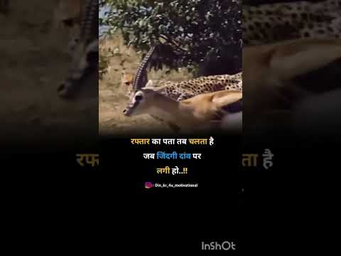 Jindagi Do per Lagi rahti hai to Pata Chalta Hai#motivation #new #power #thought #teetar dhiraj rana