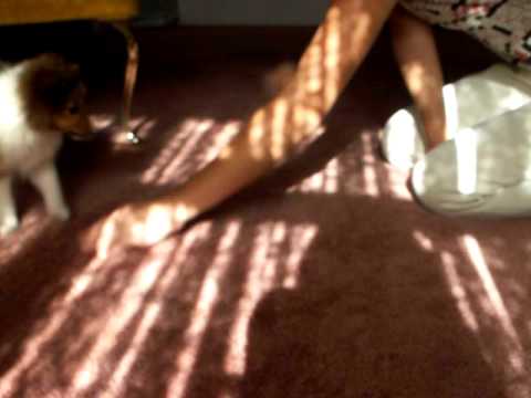 Nov 2009 041.mov