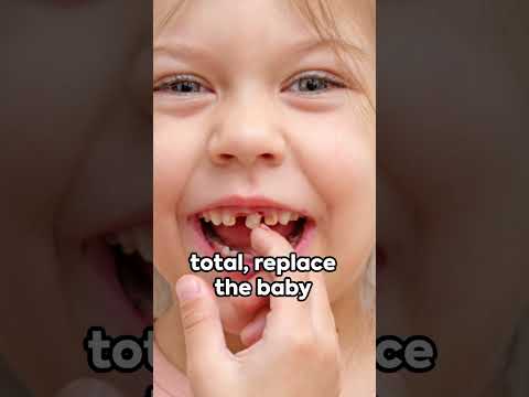 The Mystery of Our Two Sets of Teeth